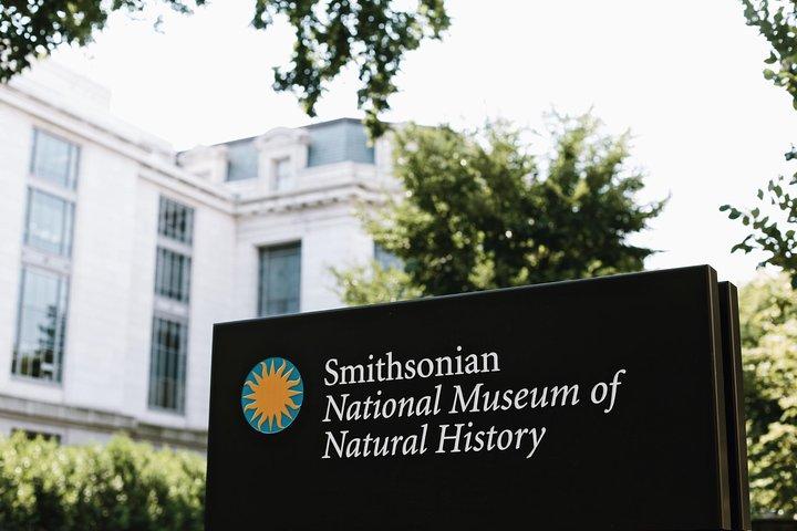 Smithsonian Museum of Natural History Small Group Tour: 8ppl Max