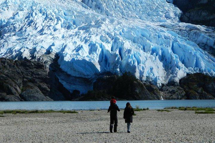 Glacial Cruise: Expedition from Ushuaia to Punta Arenas