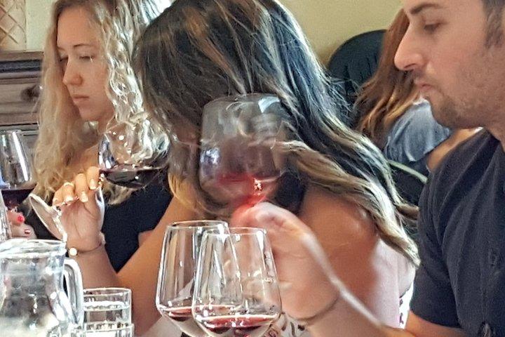 Discover Chianti Through its Wines