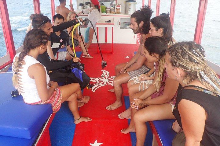 PADI Discover Scuba Diving in Koh Tao - half day and two dives