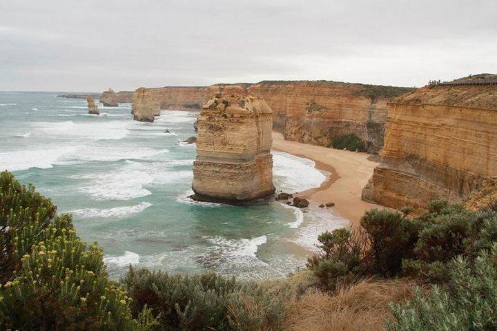 Melbourne Combo: Great Ocean Road Day Trip and Phillip Island Day Trip from Melbourne