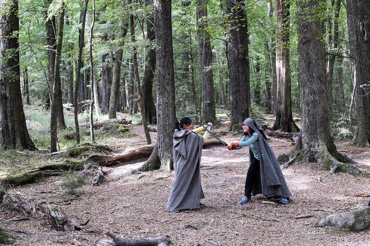 Lord of the Rings Scenic Tour - Glenorchy (half day)