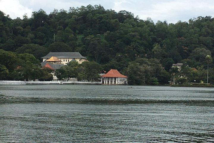 Kandy Private Day Tour
