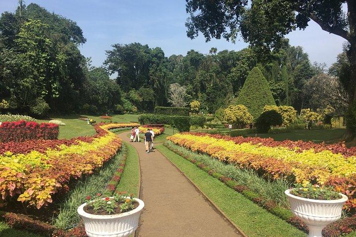 Kandy Private Day Tour