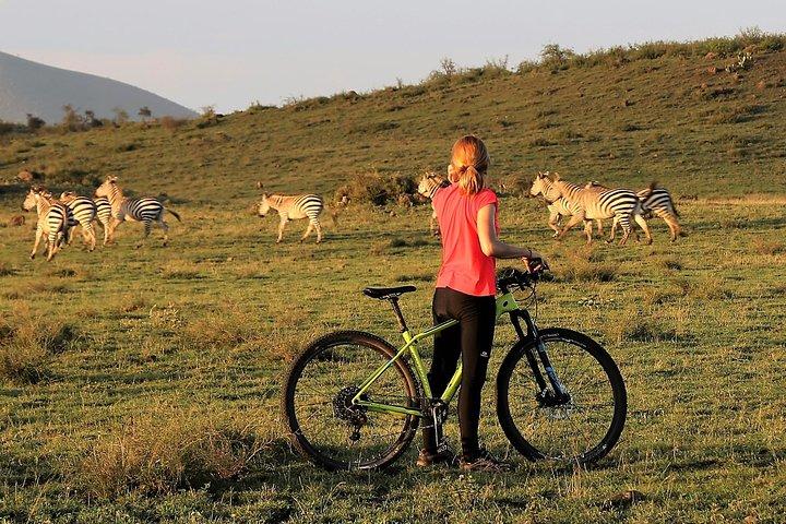 1 day Walking and Bike Safari in Arusha National Park