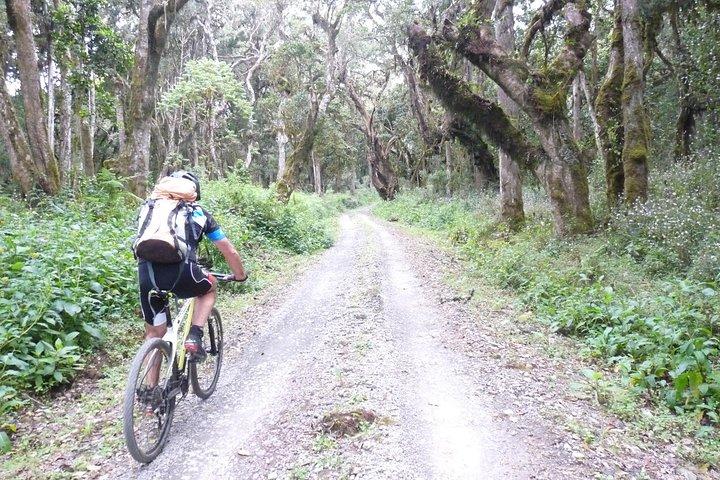 1 day Kilimanjaro Cycle Shira Route