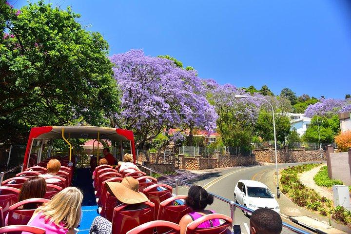 Johannesburg Hop-On Hop-Off City Tour with Soweto Option