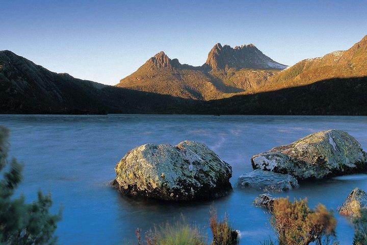 Cradle Mountain Day Tour from Launceston Including Lunch
