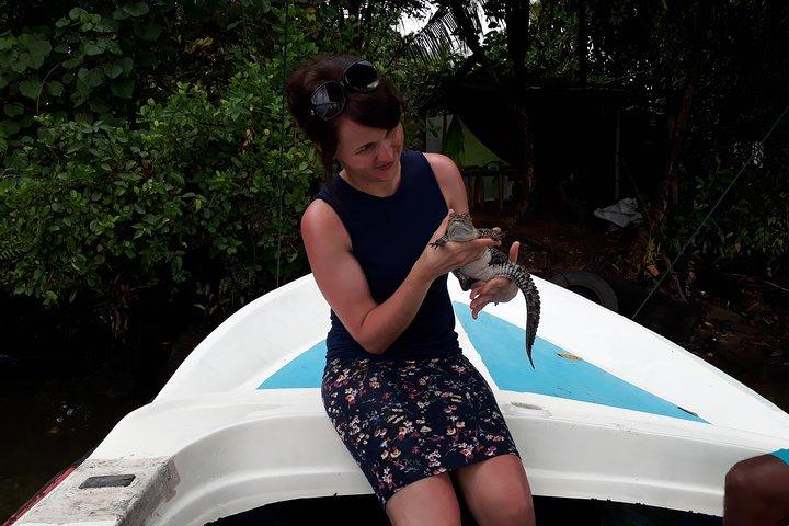 Bentota River Safari