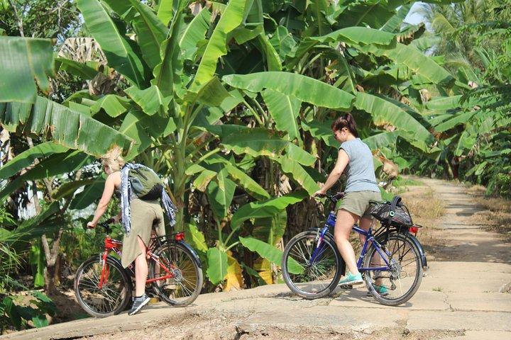 Non Touristy - Mekong Delta 1 Day With Biking