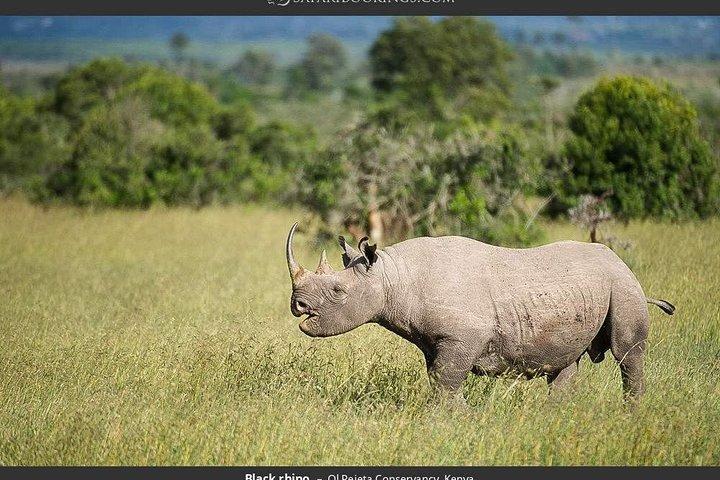 Day Tour to Ol Pejeta Conservancy
