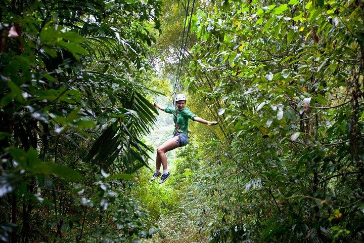 Treetop Zipline Experience From Castries