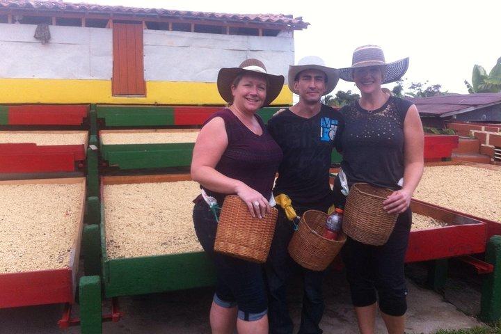 Private Jardin Trip: Colombian Coffee Tour & Tasting, Medellin