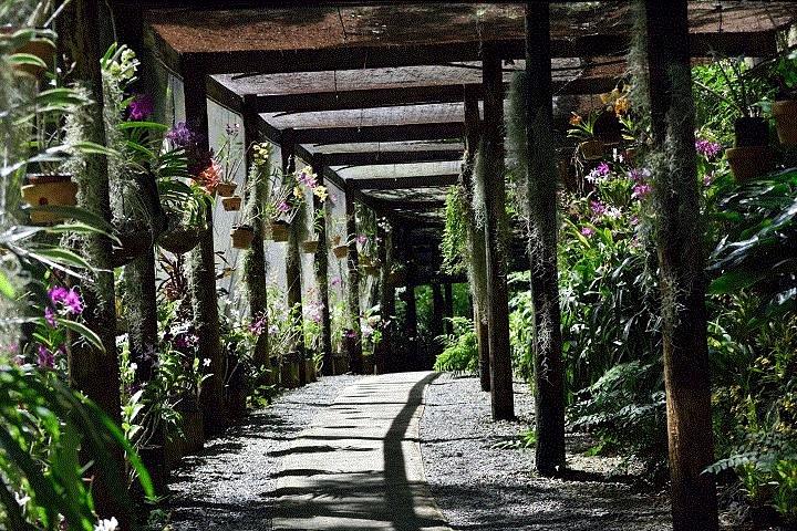 Half Day Tour from Nadi includes Local Markets, Orchid Gardens and Local Village - Shore Excursions