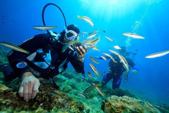 Nha Trang Diving Tour at Coral Bay