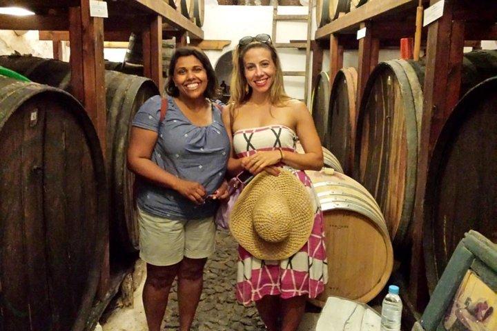 Private Tour: Ancient Akrotiri and Santorini Wineries Tour