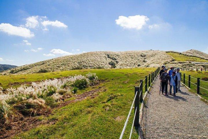 Private Yangmingshan & Beitou Tour from Taipei with Pickup