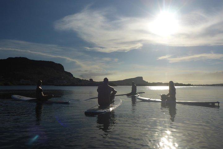 Guided paddleboarding (SUP) mangrove ECO tour for beginners
