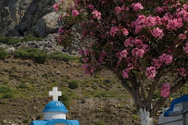 Kos Island Independent Day Trip from Bodrum