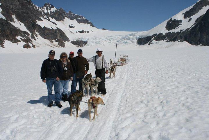 Juneau Helicopter and Dogsledding with Added Glacier Landing