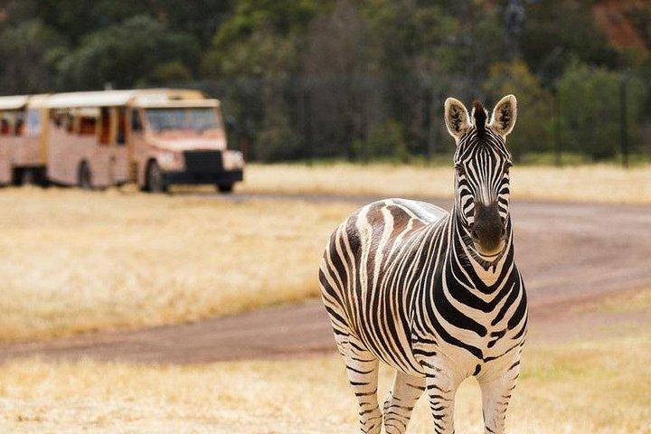 Werribee Open Range Zoo General Admission Ticket