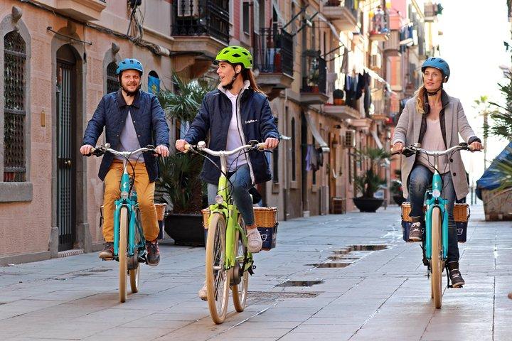 Barcelona Montjuïc E-Bike Tour: Castle, Views & Highlights