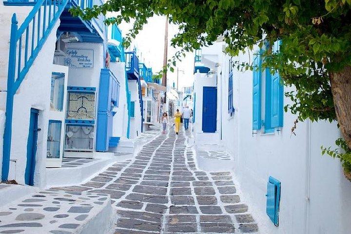 Mykonos Town and Island Half-Day Tour