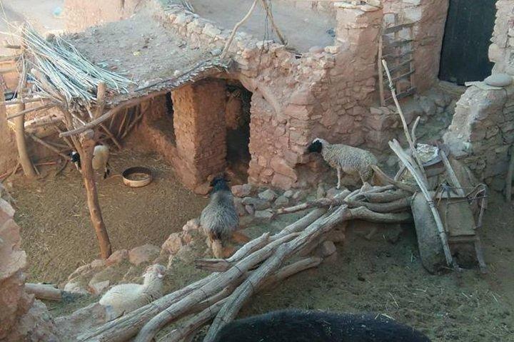 All exclusive, Day Trip to Berber Villages & Atlas From Marrakech
