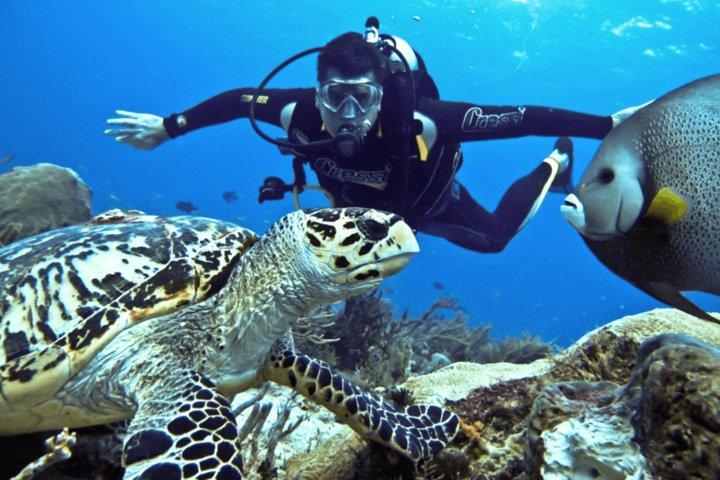 Scuba Diving Tour
