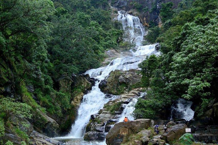 2 Day Tour To Sinharaja Rain Forest & Udawalawa From Colombo