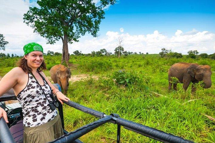 Udawalawe National Park and Elephant Transit Home From Galle