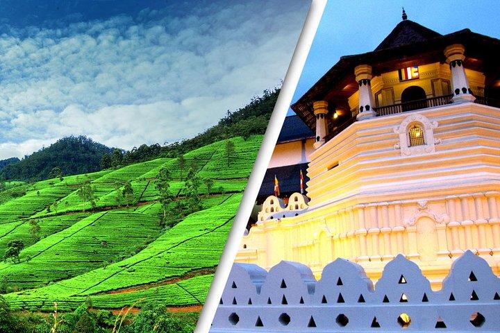 4 Day Tour to Kandy Nuwara Eliya Ella & udawalawe safari from Colombo