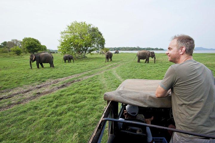 Wild Safari Udawalawe from Mount Lavinia