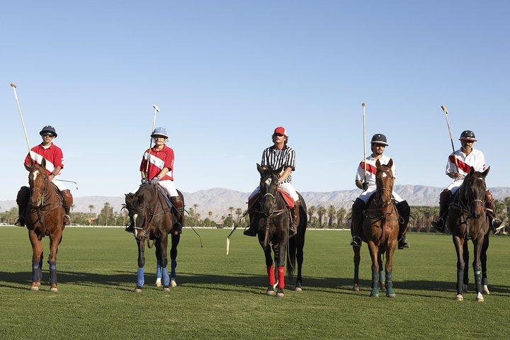 Polo Match, BBQ and Lesson Day-Trip from Buenos Aires