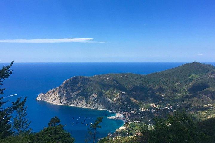 Cinque Terre Private Tour from La Spezia