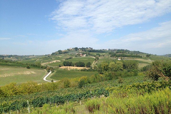 Pisa and San Gimignano Tour from Florence