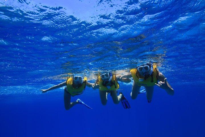 Waikiki, Hawaii: Turtle Canyon Snorkel Excursion