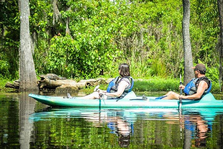 Small-Group Manchac Swamp Kayak Tour with Local Guide