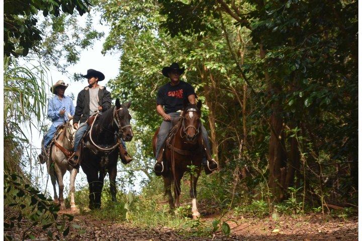 West Maui Mountain Waterfall and Ocean Tour via Horseback