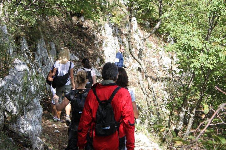 Private Tour: Truffle-Hunting Experience from Naples with Lunch