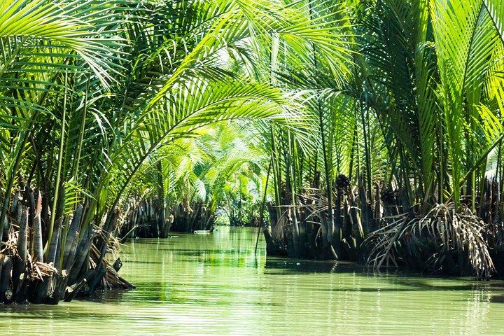 Can Gio Mangrove Eco And Wildlife Discovery Tour