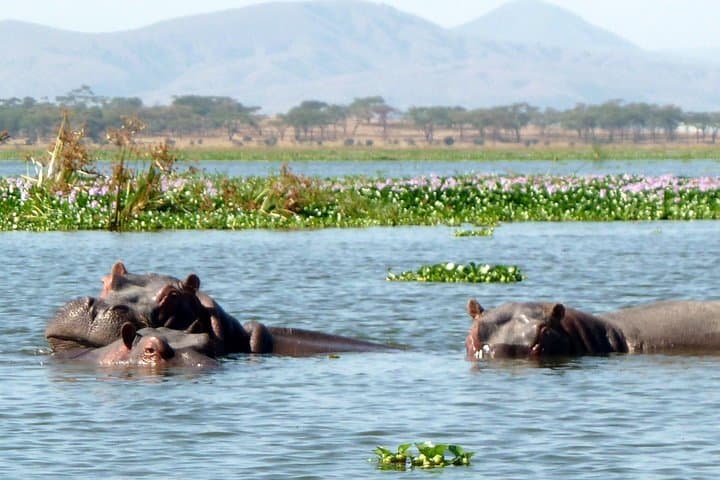 Nairobi: Hell's Gate Day Trip and Lake Naivasha Boat Ride