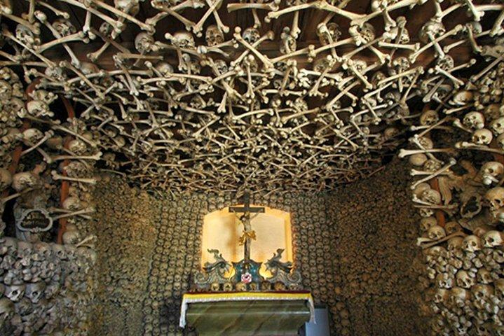 Historical Evora PRIVATE Full Day Tour | Cork, Wine and Olive Oil