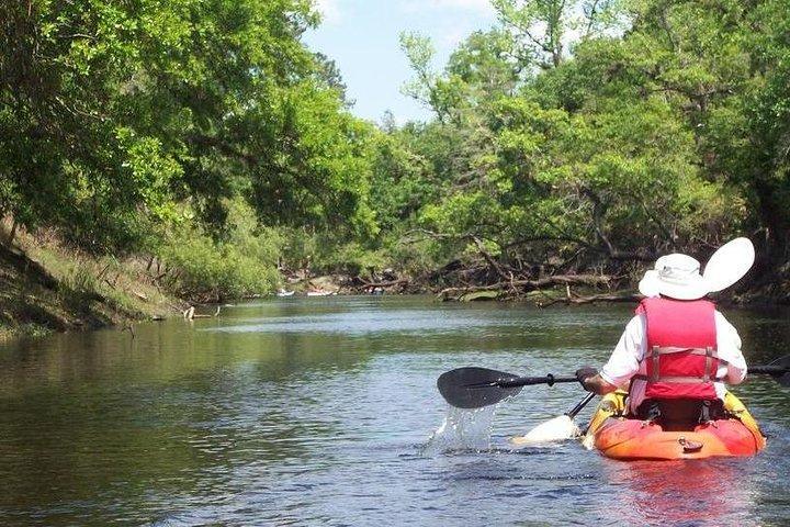 Manatee and Dolphin Kayak Tour - Wildlife Refuge (Titusville)