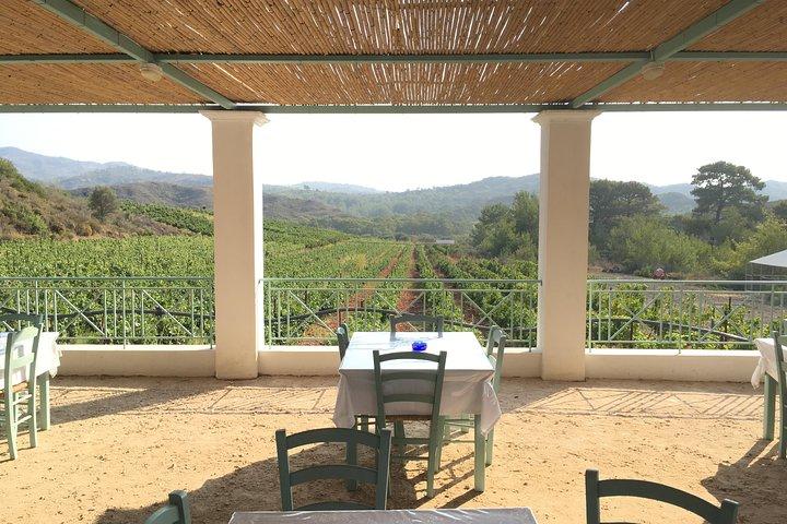 Butterflies Valley & Wine Tasting Experience Private Tour
