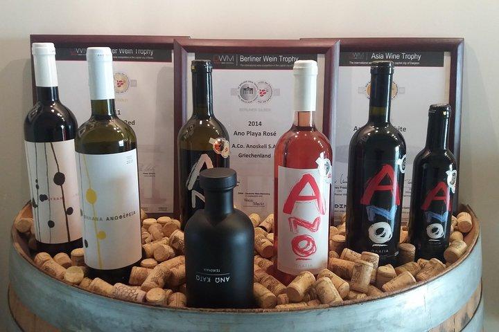 Wine & Olive Oil Tour with Lunch - Semi Private Safari Tour