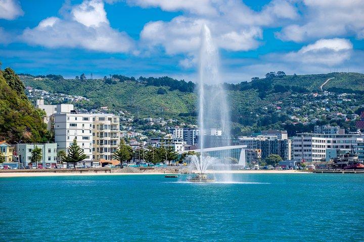 Half Day Tour of Wellington