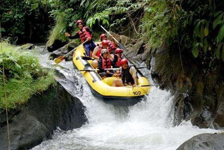 Ubud White Water Rafting on the Ayung River with Pickup & Lunch