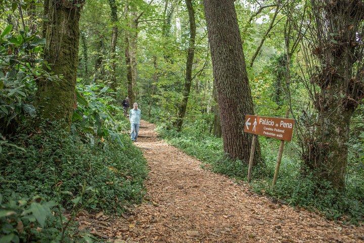 SINTRA – CABO DA ROCA – CASCAIS: A magical escape