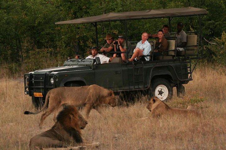 Hwange (Safari) Day Trip from Victoria Falls